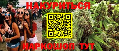 кокс Донской